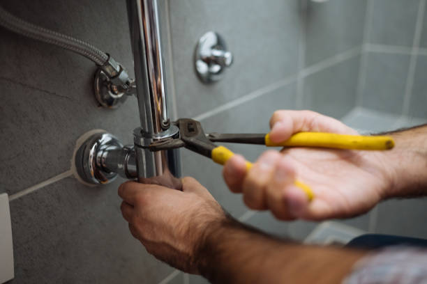 Best Plumbing Inspection Services  in Bean Station, TN